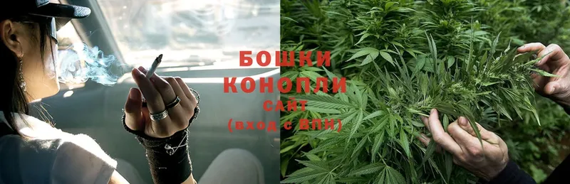 Бошки Шишки OG Kush  Кашин 